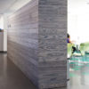 STRIVE WABI SABI charred accoya
