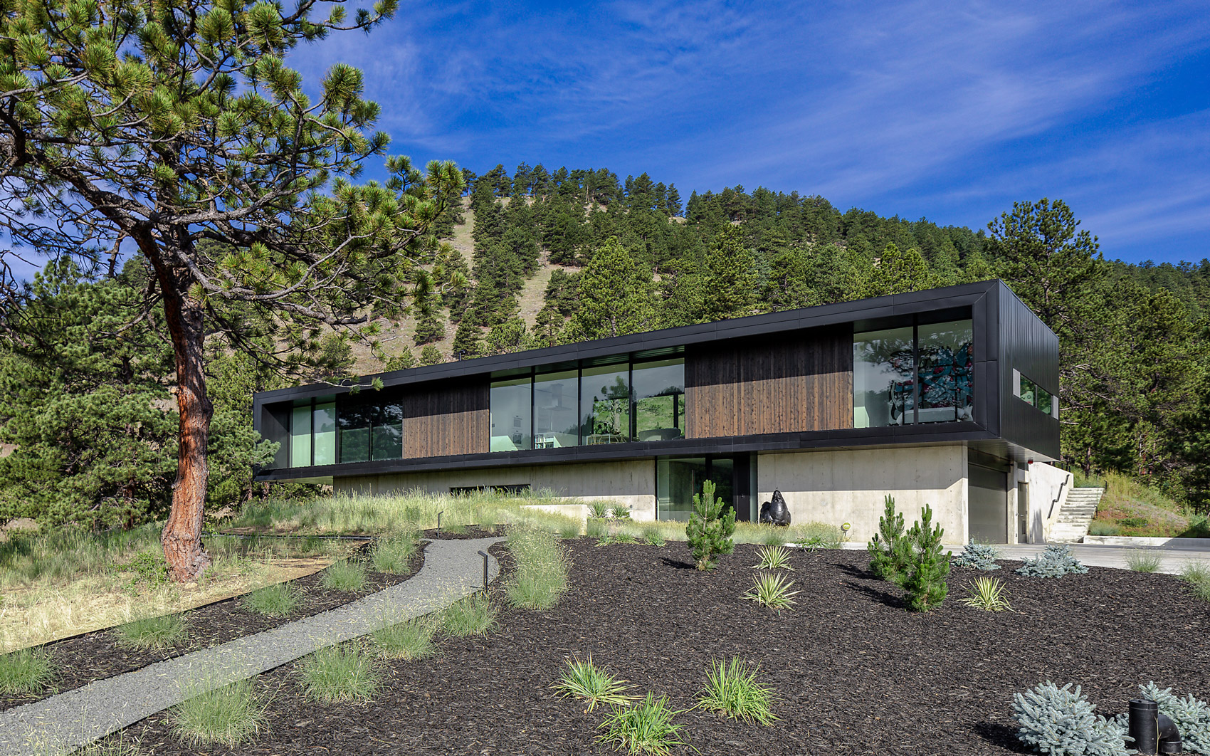 Blur House featuring DUNCAN 2.0 shou sugi ban charred western red cedar exterior cladding/siding