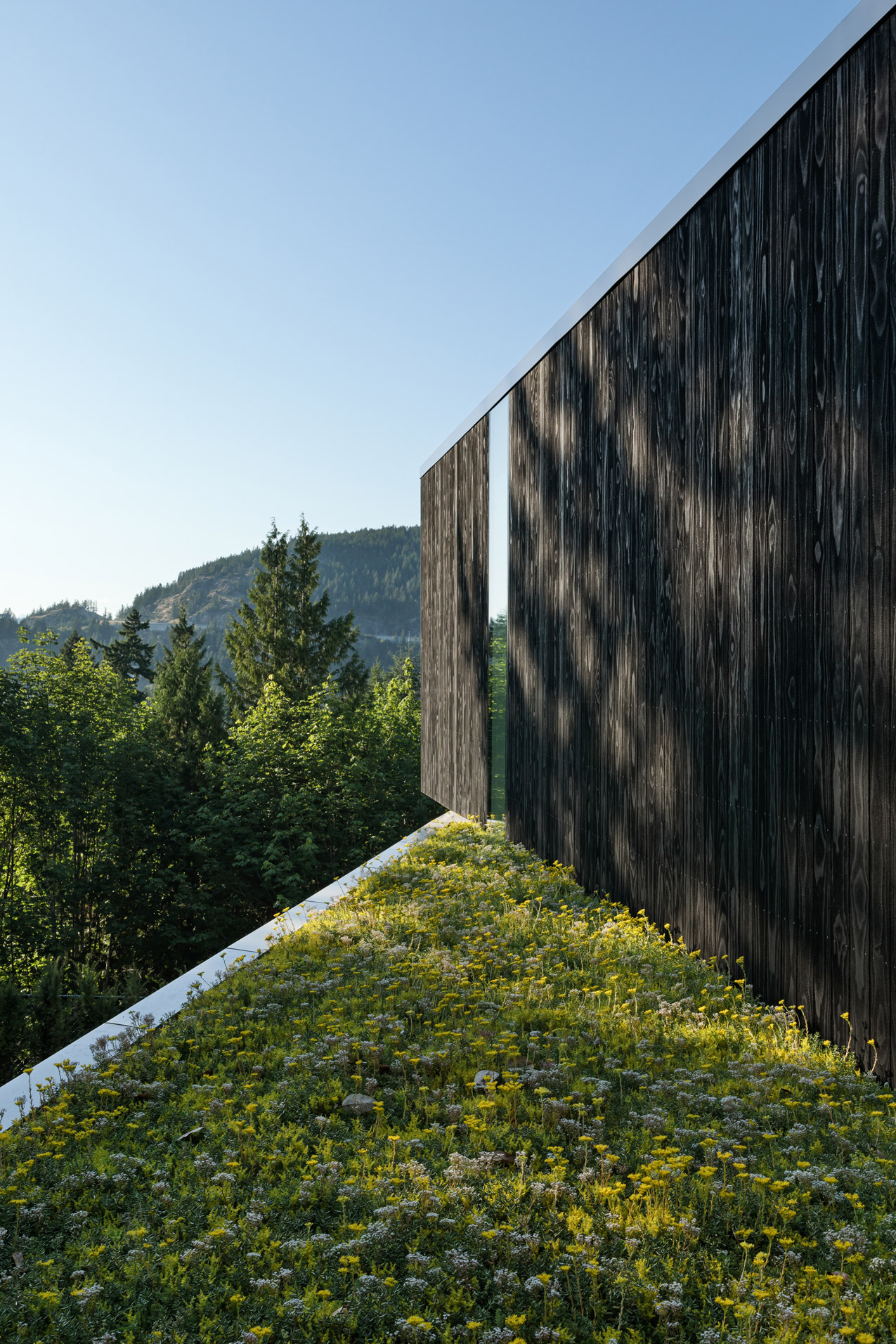 Vancouver Residence featuring reSAWN TIMBER co. KOS Shou Sugi Ban Charred Kebony Exterior Cladding 5