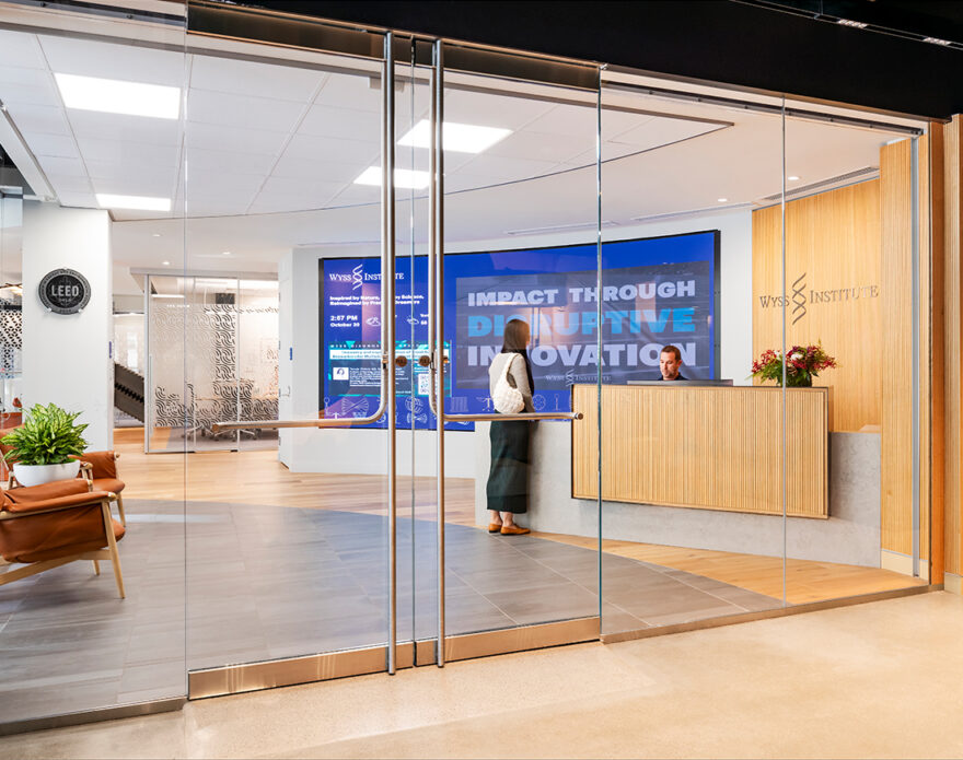 The-Wyss-Institute-GOVERNOR-European-White-Oak-featured-image