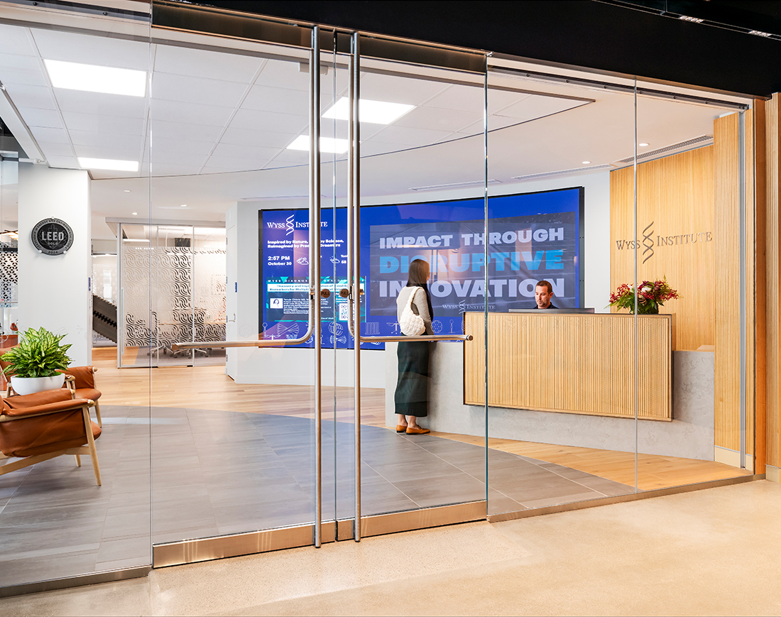 The-Wyss-Institute-GOVERNOR-European-White-Oak-featured-image