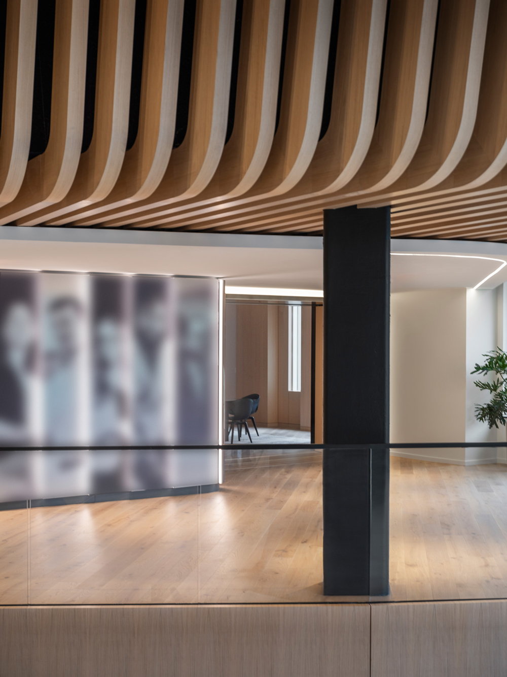 National-Non-Profit-KIP-European-White-Oak-2 National-Non-Profit-KIP-European-White-Oak-2