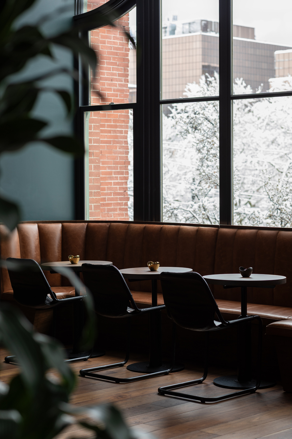 Asher-Adams-WILLIAMSPORT-1