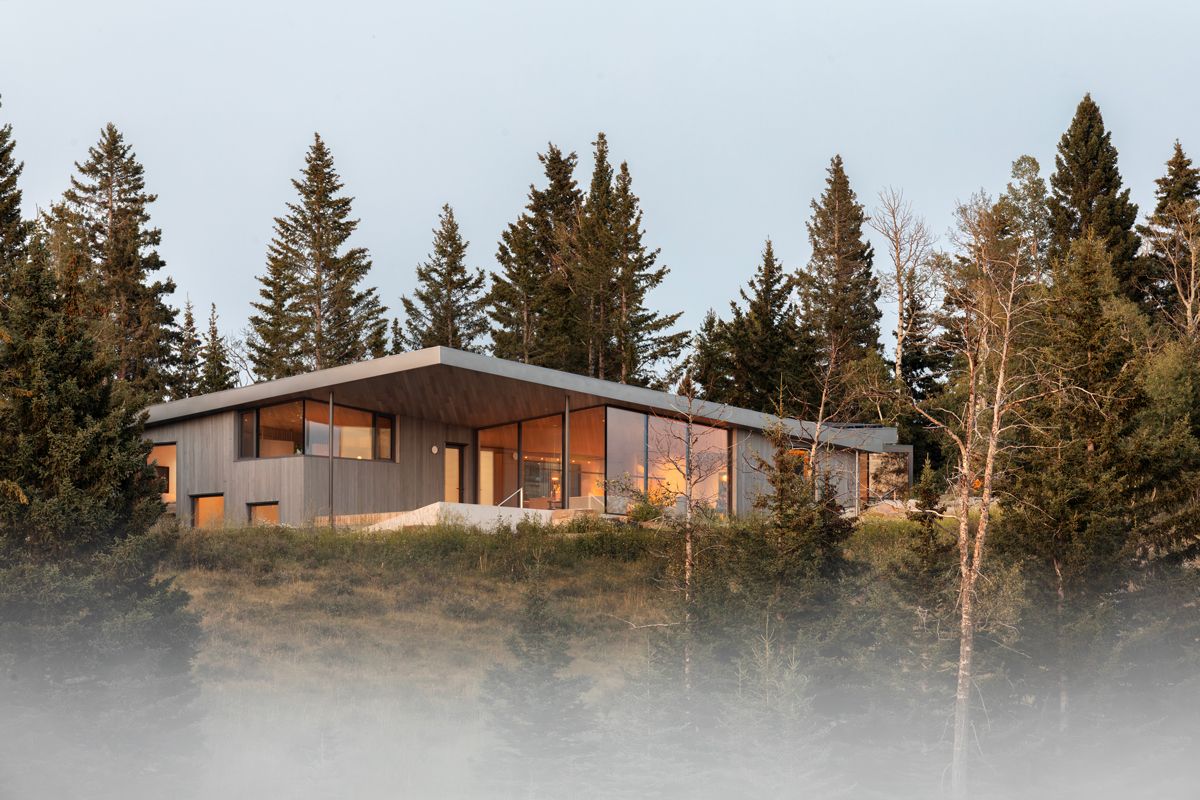 Cut Out House -CR263389