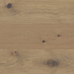 ARBORIA_EWO_RESAWN_Character