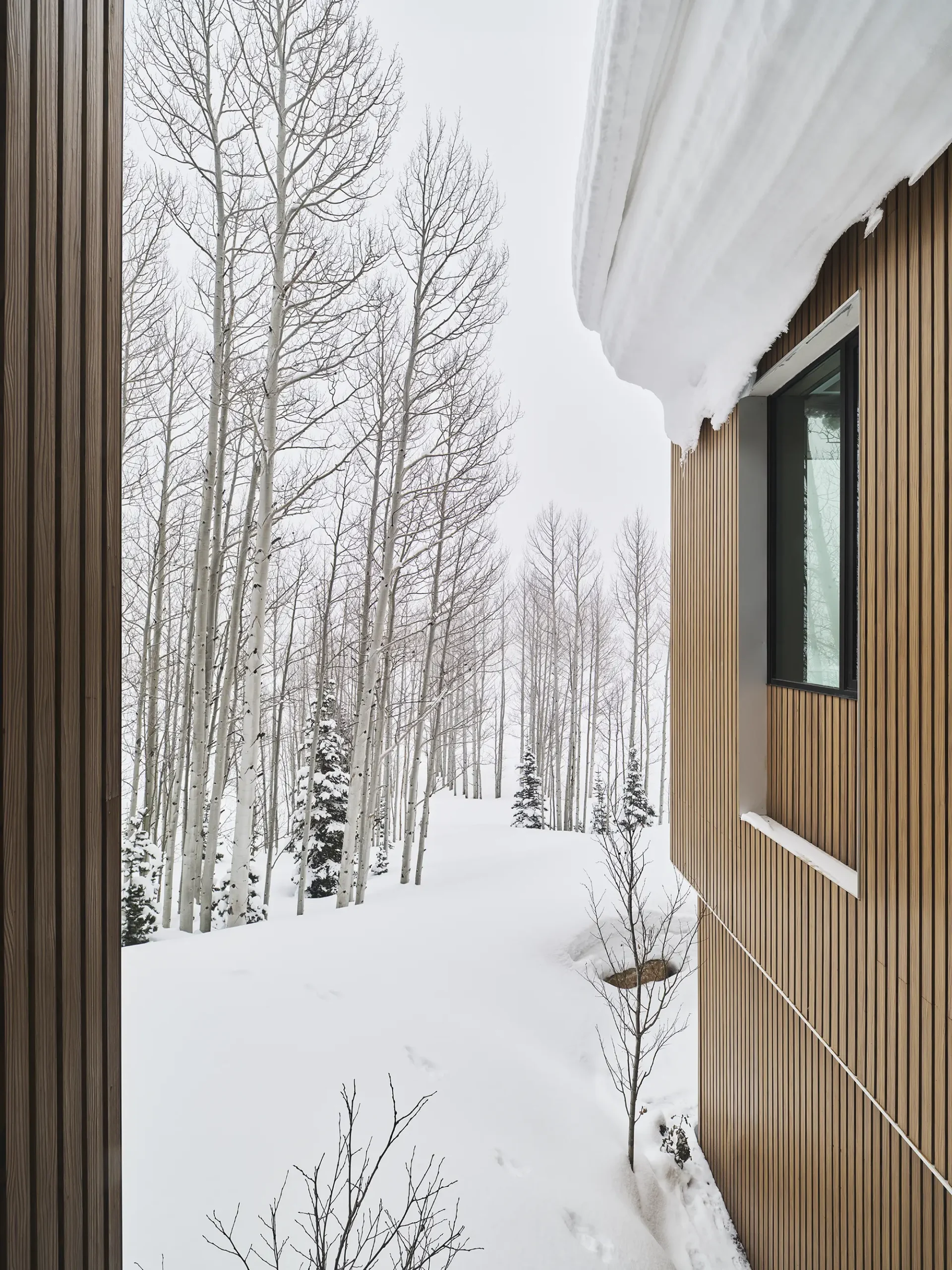 Aspen Meadows_RESAWN_Abodo3