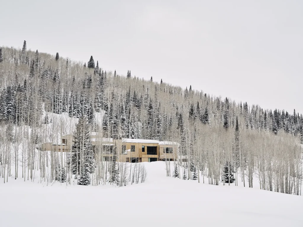 Aspen Meadows_RESAWN_Abodo5