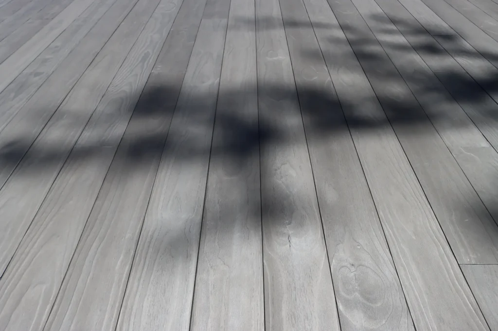 Mays Landing_RESAWN_IKIGAI47
