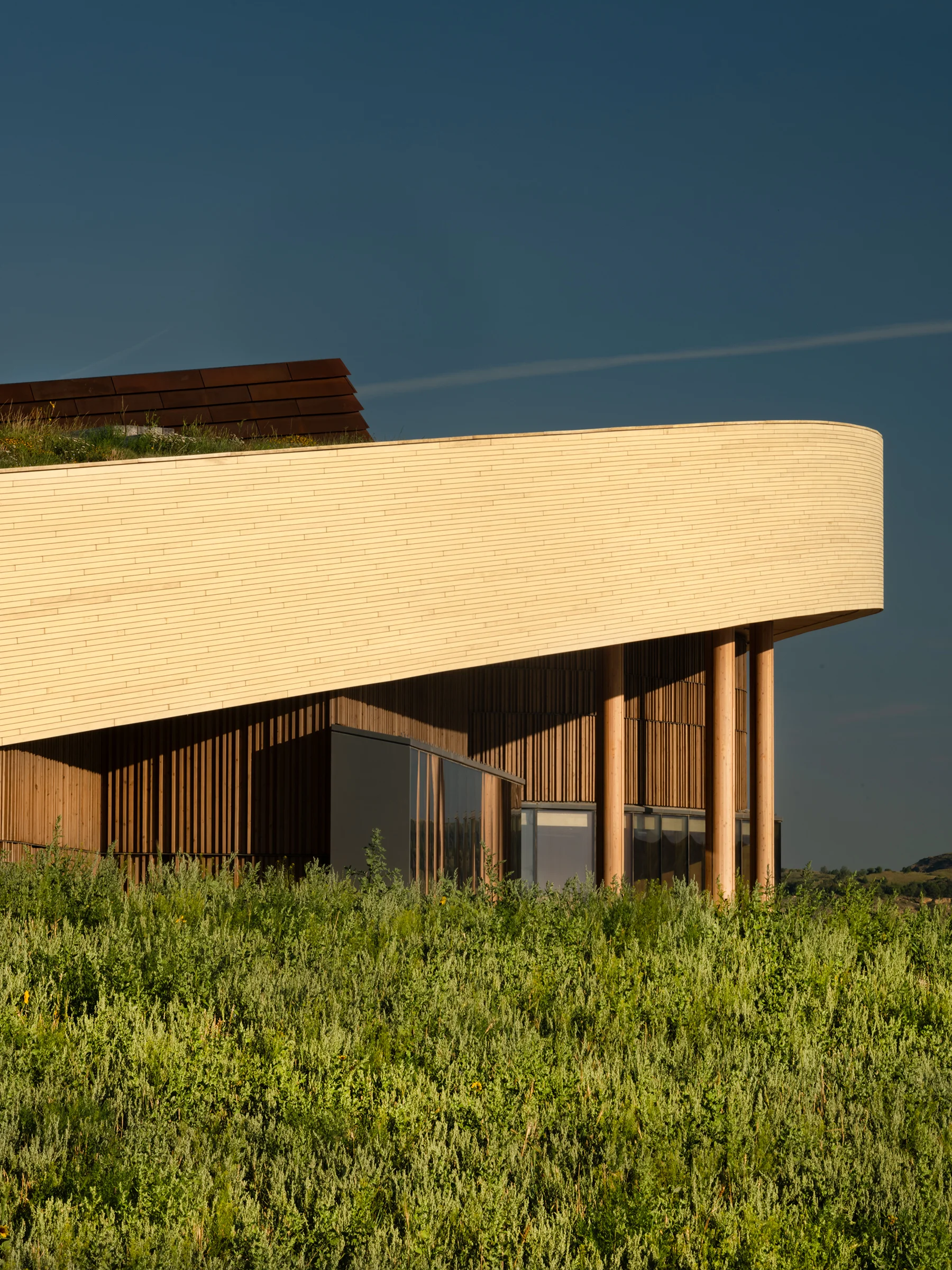 TRPL_RESAWN_Accoya8