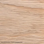 Texture CloseUp_Accoya_RESAWN_Tactile